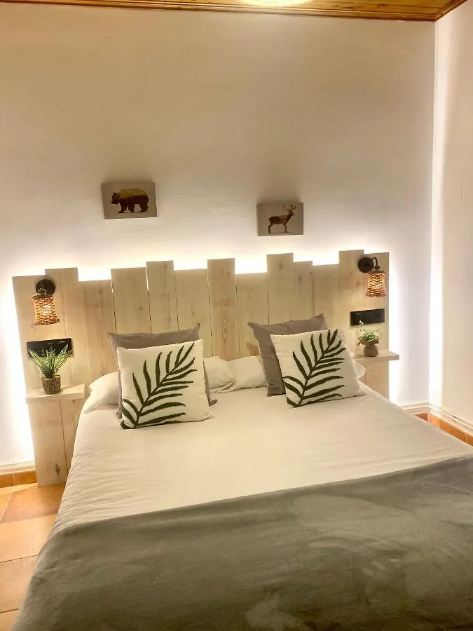 Apartaments Alta Muntanya Barruera 0*,