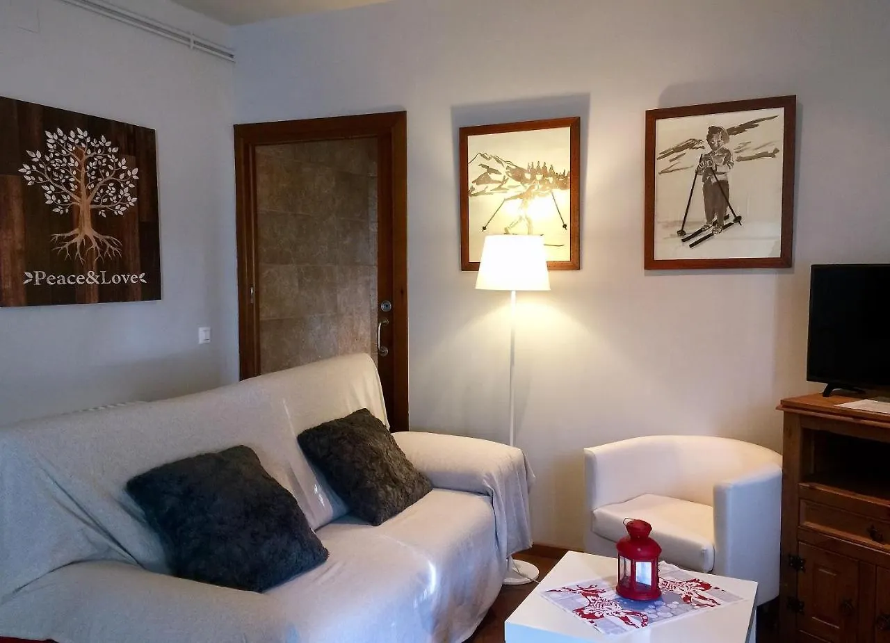 Apartaments Alta Muntanya Barruera 0*,