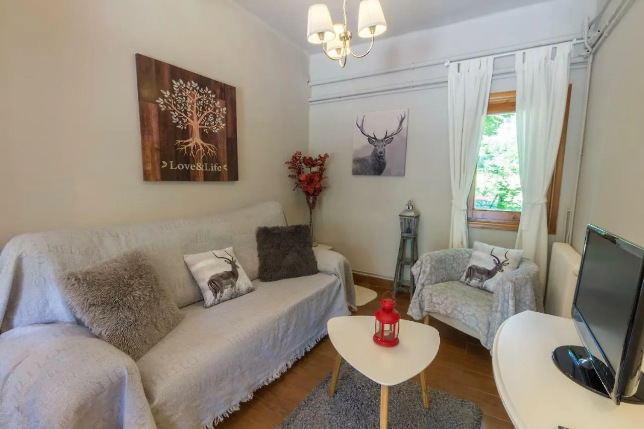 Apartaments Alta Muntanya Barruera Spain