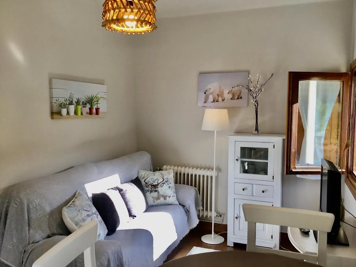 Apartment Apartaments Alta Muntanya Barruera Spain